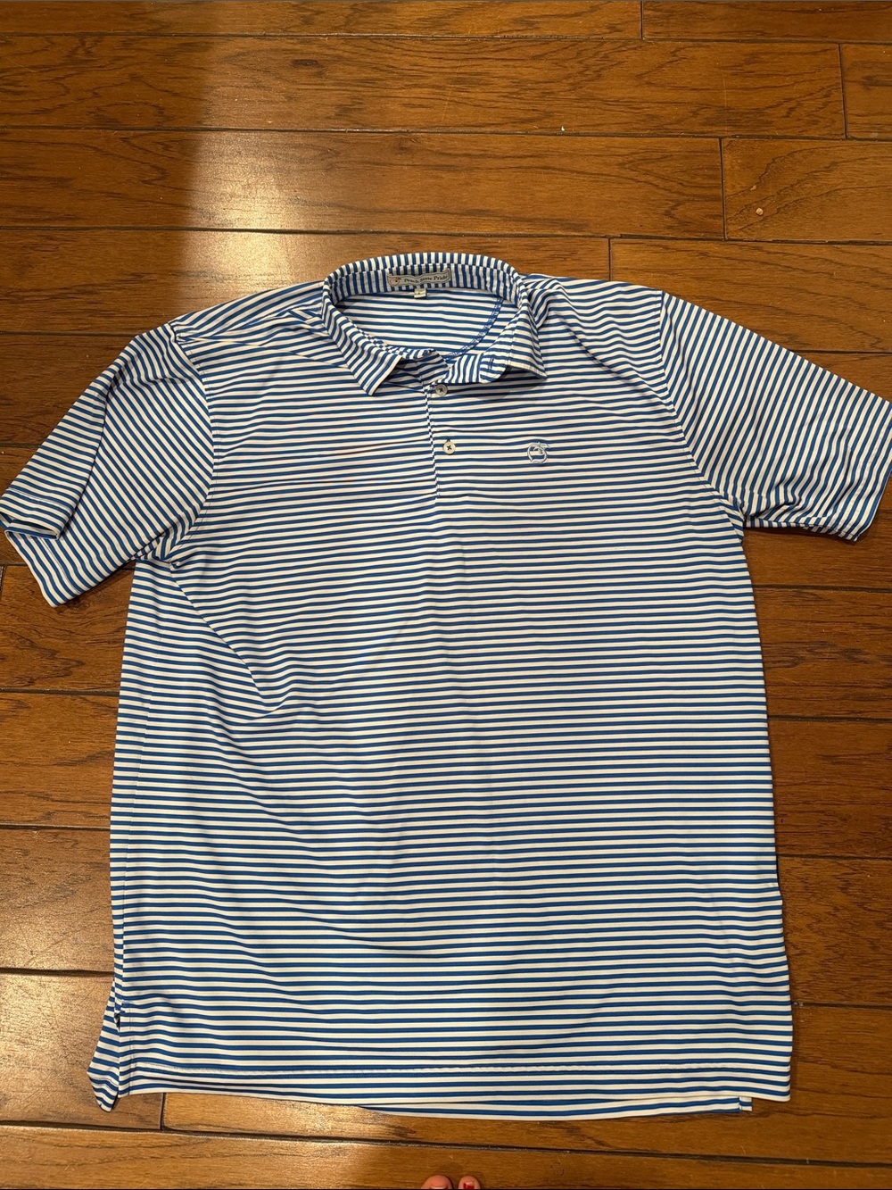 Peach State Pride Men’s Blue Striped Polo